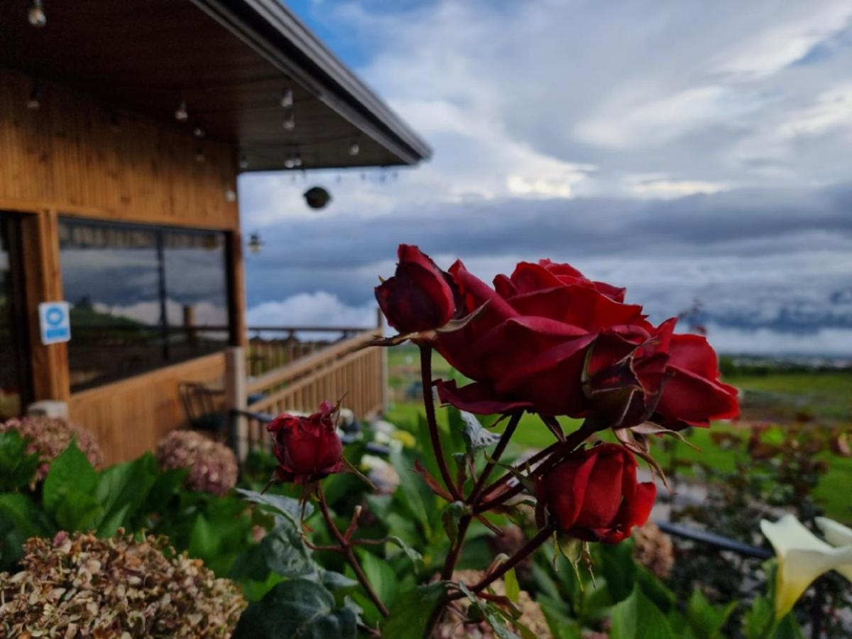 Hotel Cabanas Y Mirador Secret Garden Cr Cartago Exteriér fotografie